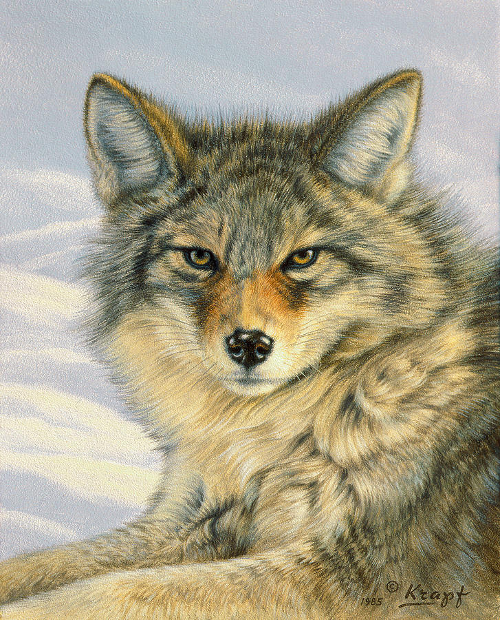 Wildlife Painting - Little Coyote by Paul Krapf