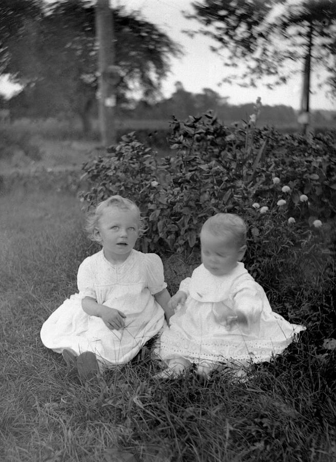 Little Darlings  Photograph by William Haggart