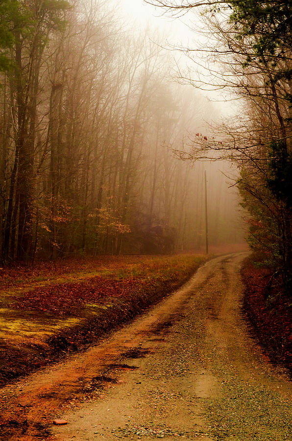 Little Dirt Road Photograph by Laura DAddona - Fine Art America