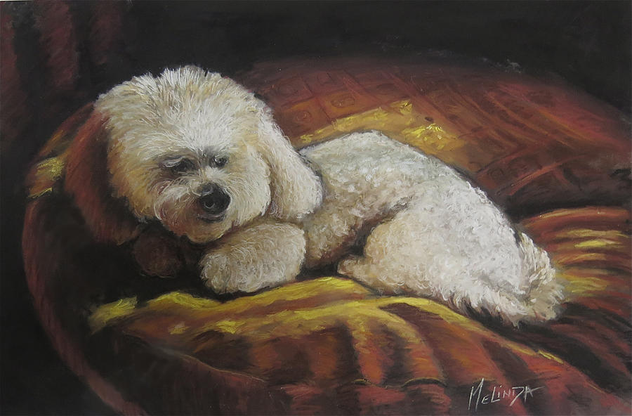 Little Dog on her Plllow Painting by Melinda Saminski
