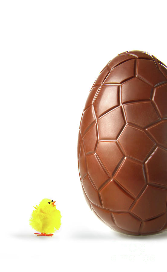 Little Easter chick looking up at chocolate egg Photograph by Sandra Cunningham