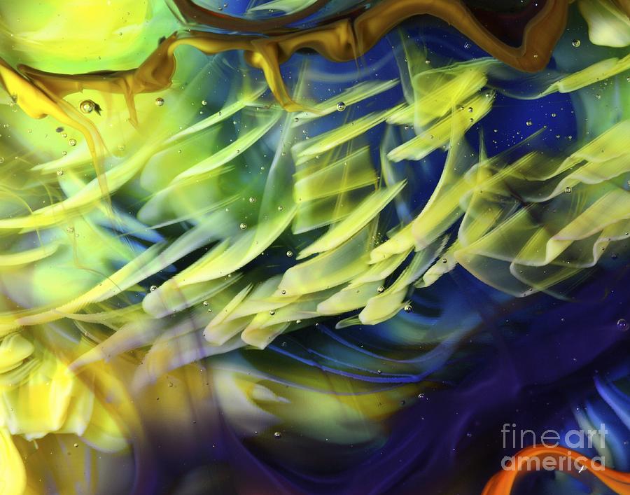 Abstract Photograph - Little Fishes by Kimberly Lyon