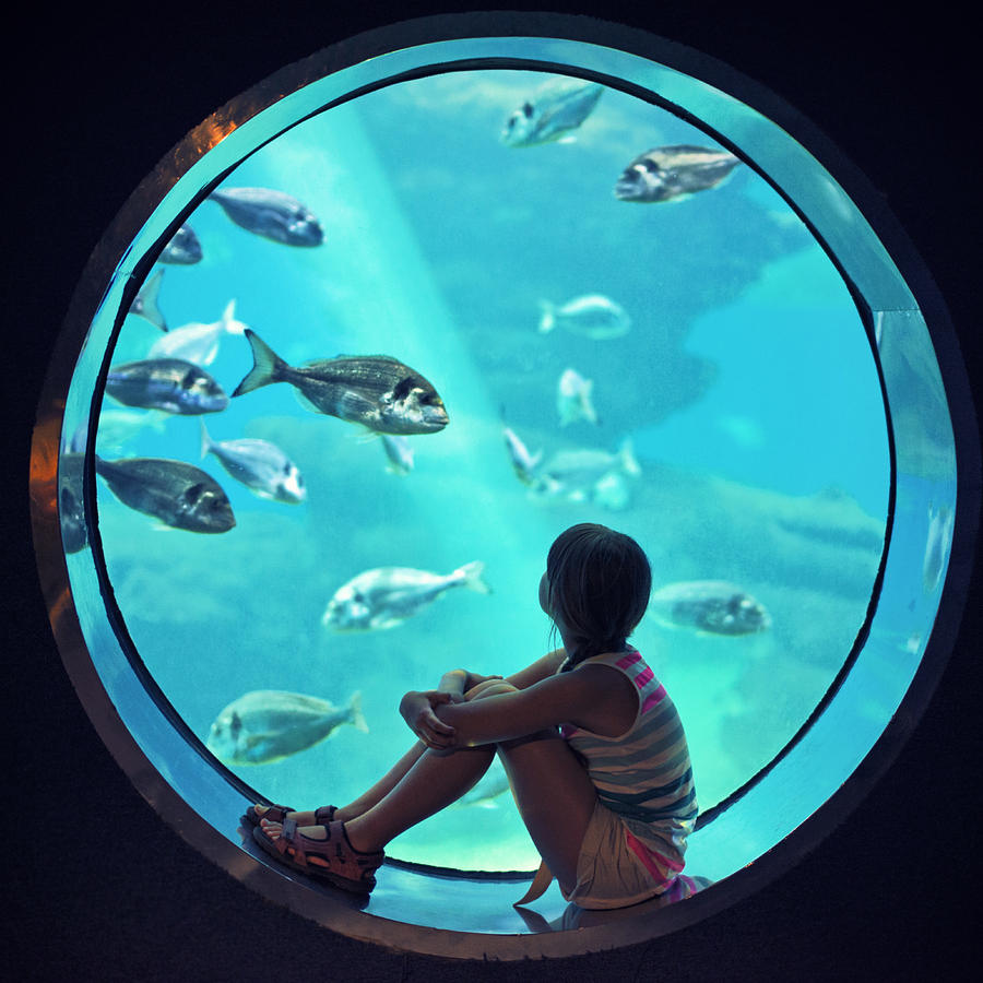 Little girl visiting a huge aquarium Photograph by Imgorthand