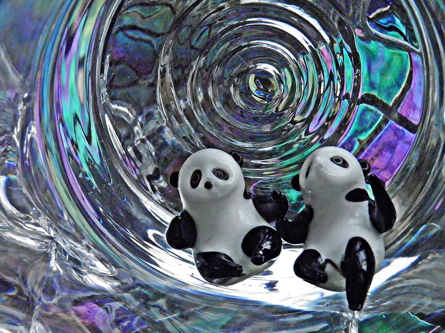 Little Glass Pandas 11 Photograph by Sarah Loft