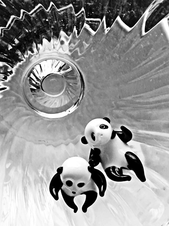Little Glass Pandas 36 Photograph by Sarah Loft