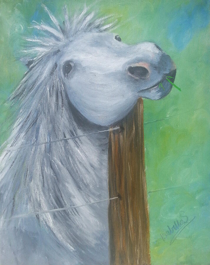 Horse Painting - Little Grey Has An Itch by Abbie Shores