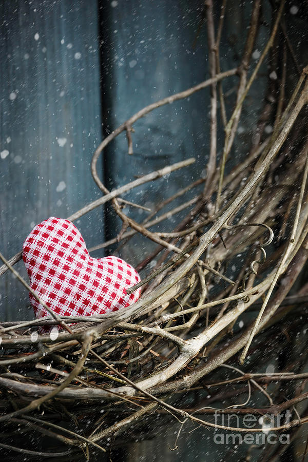 Little heart on Christmas wreath Photograph by Sandra Cunningham