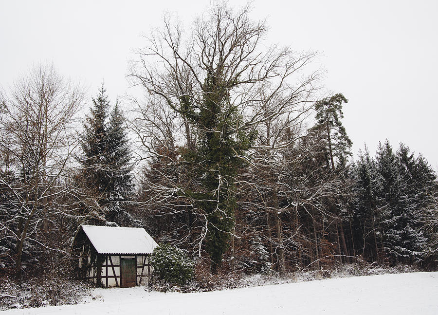 Little hood and beautiful trees in winter Photograph by Matthias Hauser