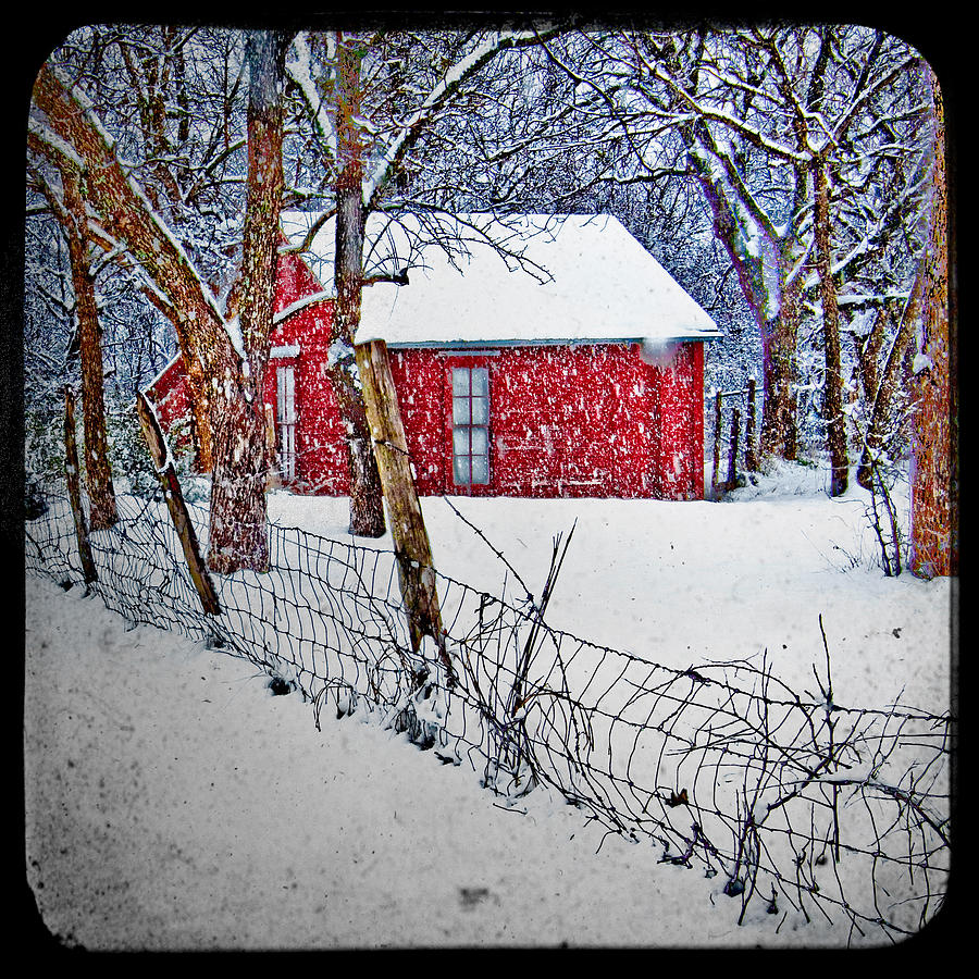 Little House in the Snow Photograph by David and Carol Kelly