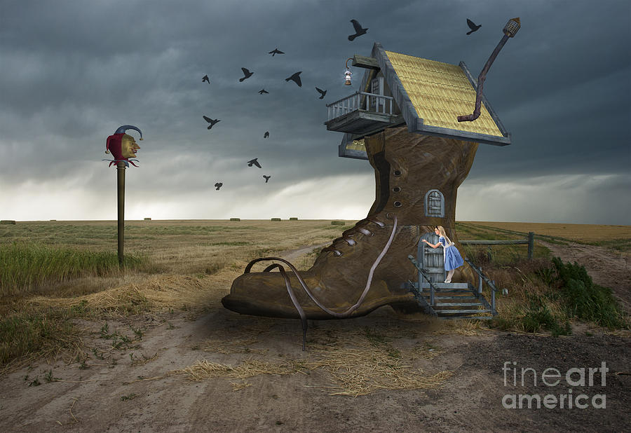 Bird Photograph - Little House on the Prairie by Juli Scalzi