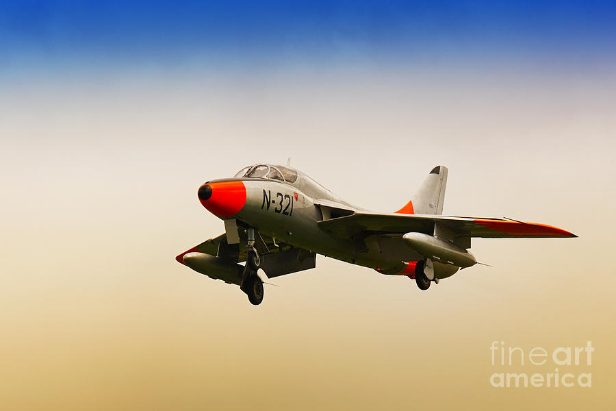 Little jet-fighter Photograph by Nick  Biemans