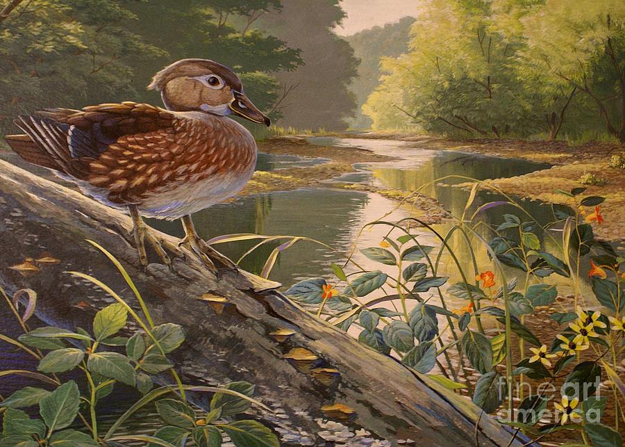 Nature Painting - Little Lady - Wood Duck Hen and Jewel Weed by Susan A walton