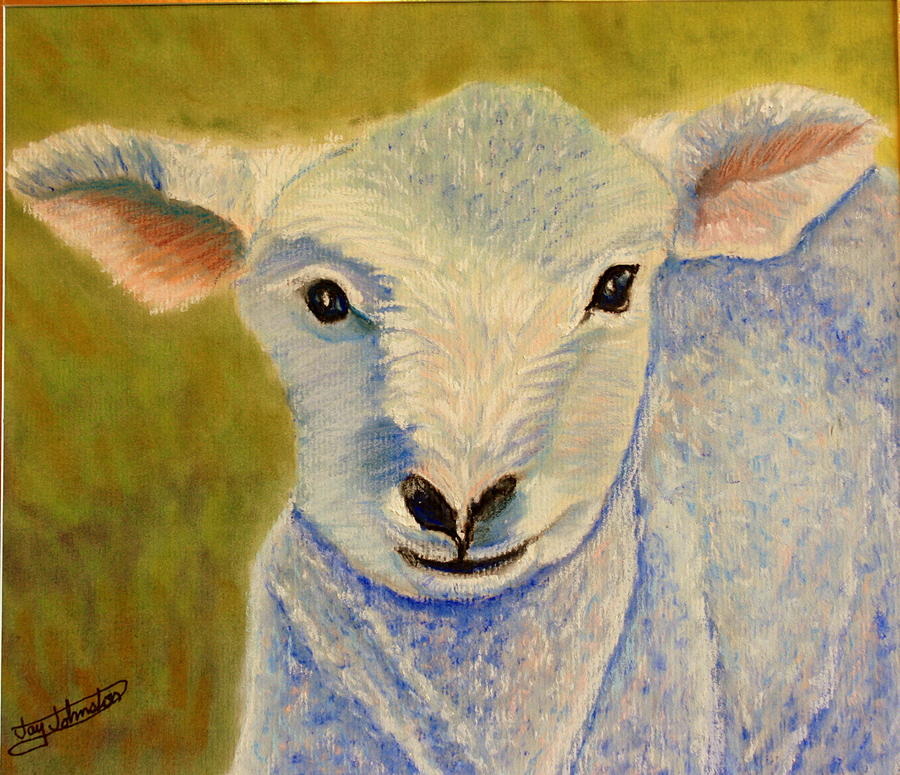 Farm Painting - Little Lamb by Jay Johnston