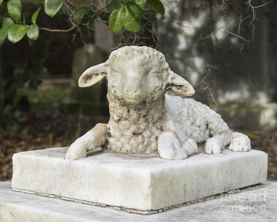 Little Lamb Sculpture Photograph by MM Anderson