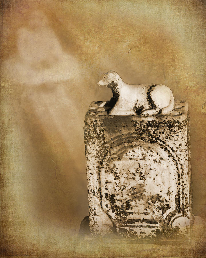 Lamb Digital Art - Little Lamb The Forgotten Series 06 by Cynthia Woods