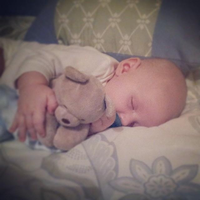Sleeping Photograph - Little Man Already Loves His Bear by Chris Morgan Sleeping Photograph - Little Man Already Loves His Bear by Chris Morgan