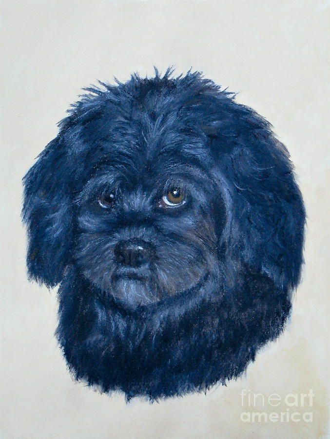 Little Marilyn the Lhasa-Poo Painting by Jean A Chang