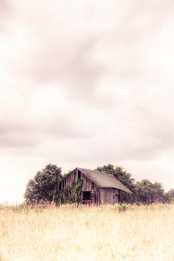Little Old Barn in the Field - Ontario County New York State Photograph by Gary Heller
