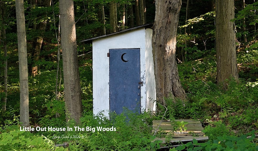 Little Out House In The Big Woods Photograph by Lena Wilhite