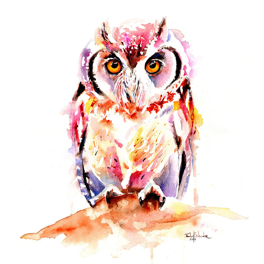 Little Owl Painting by Isabel Salvador