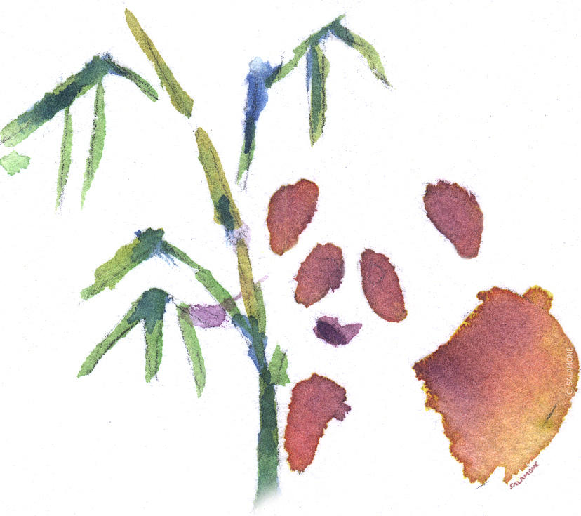 Little Panda Painting by Brenda Salamone