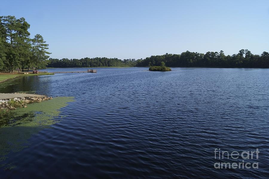 Little Pee Dee State Park Lake Photograph by MM Anderson