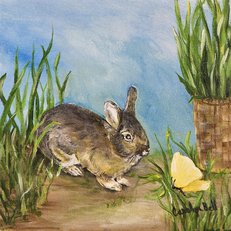Animal Painting - Little Pet Bunny by Carolyn Bell