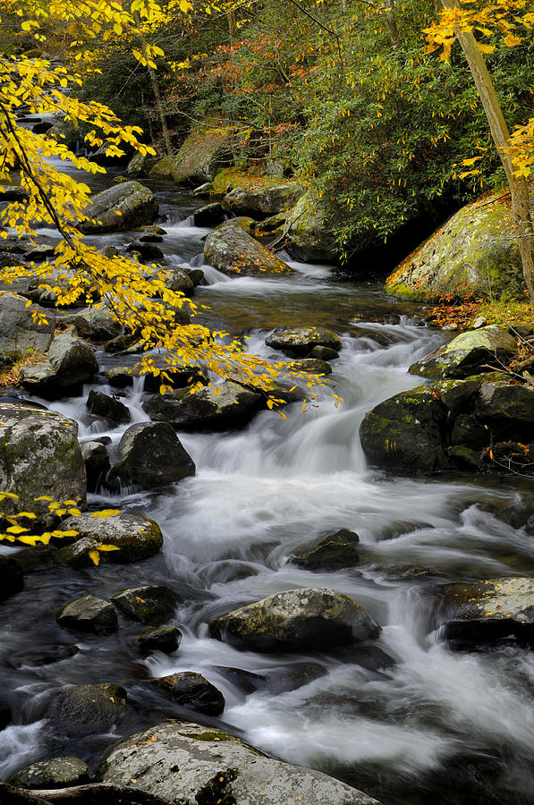 Little Pigeon River at Tremont in Great Smoky Mountains Photograph by Darrell Young