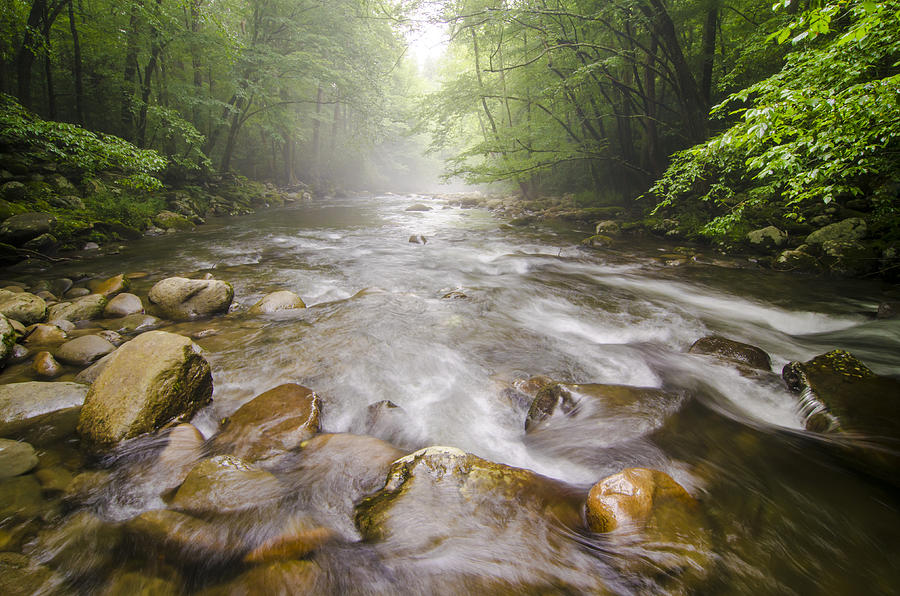 Little Pigeon River Great Smoky Mountains National Park TN  Photograph by Robert Stephens