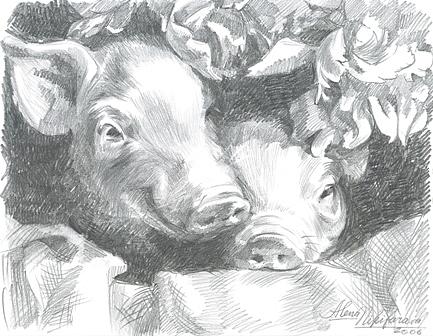 Little pigs with flowers Drawing by Alena Nikifarava