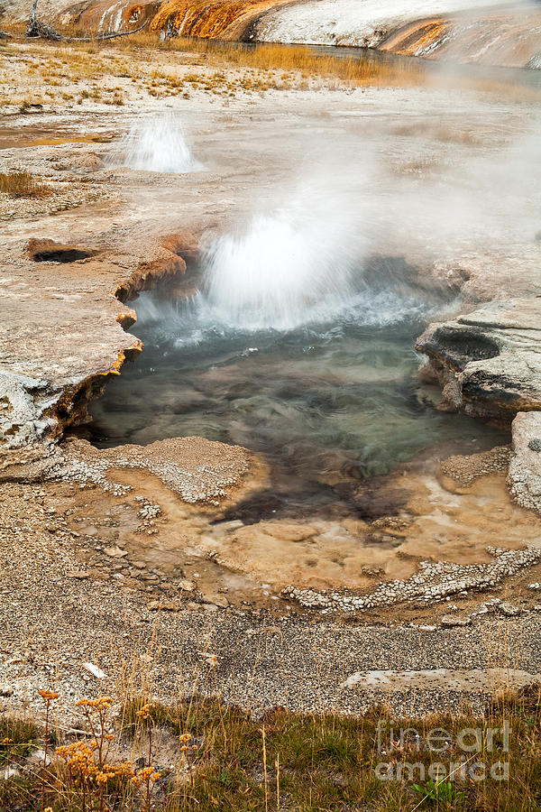 Little Pool Geyser at Black Sands Geyser Basin Photograph by Fred Stearns
