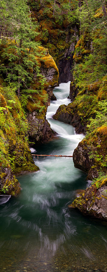 Little Qualicum River Canyon Photograph by Michael Russell