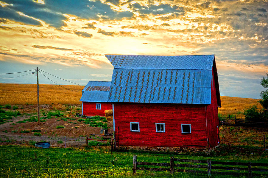 Little Red Barn farm Photograph by Randall Branham