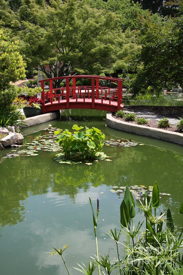 Bridge Photograph - Little Red Bridge by Christiane Schulze Art And Photography Bridge Photograph - Little Red Bridge by Christiane Schulze Art And Photography