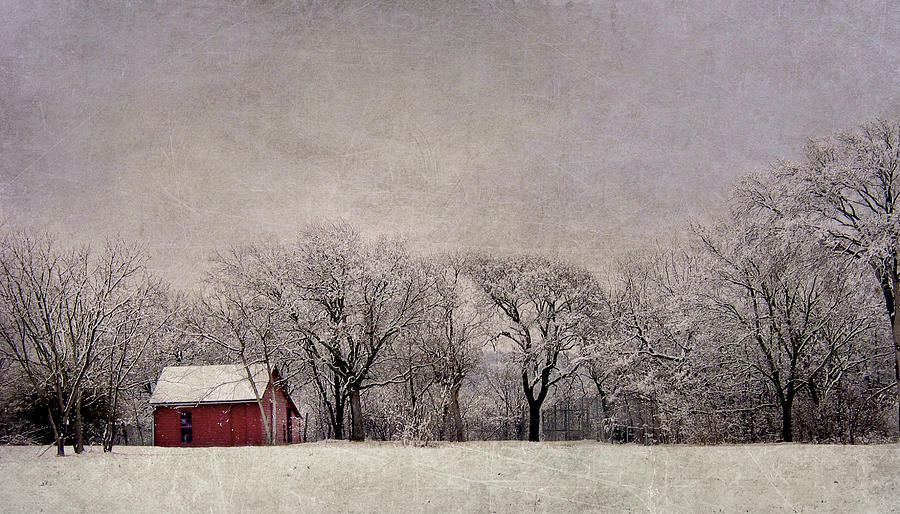 Little Red Cabin in the Snow Photograph by David and Carol Kelly