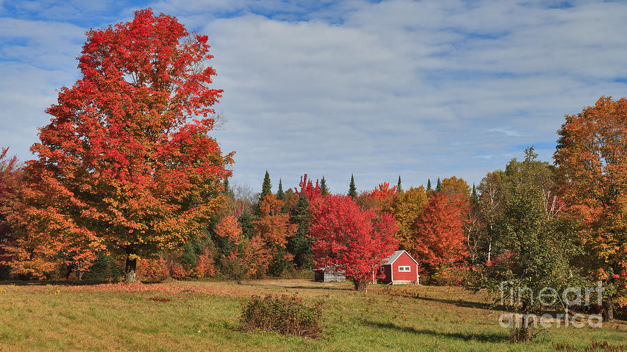 Tree Photograph - Little Red Cabin on Long Pond Road -- Nearer and Wider by Charles Kozierok