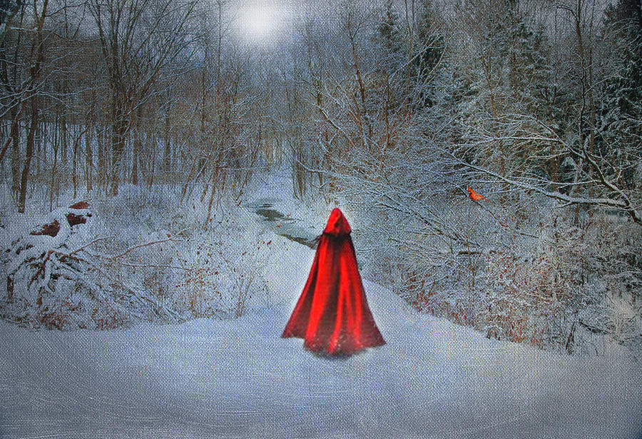 Little Red Girl Photograph by Mary Timman