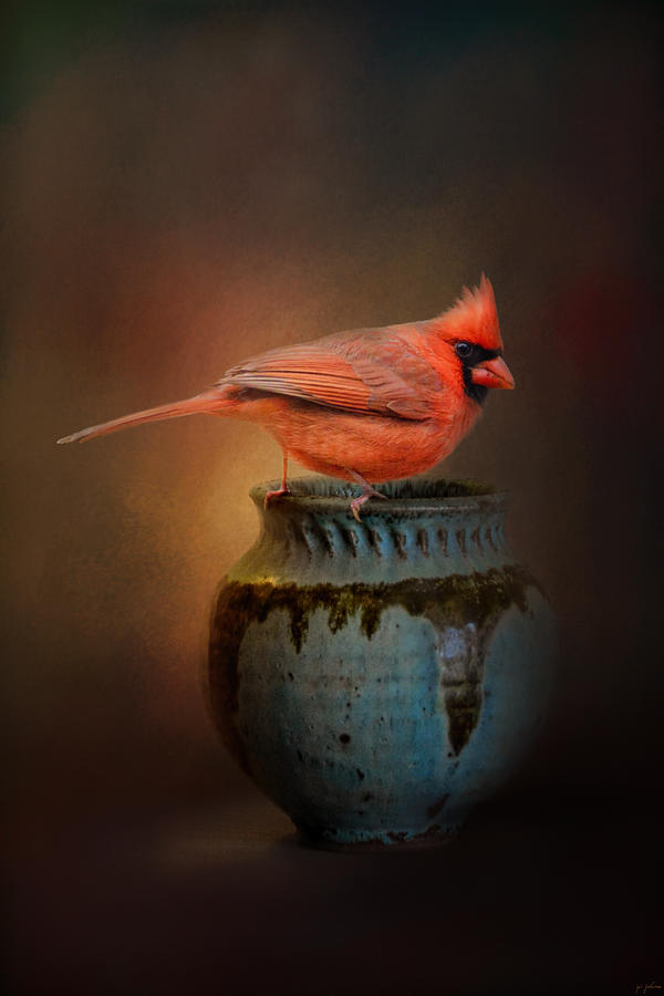 Bird Photograph - Little Red Guardian by Jai Johnson