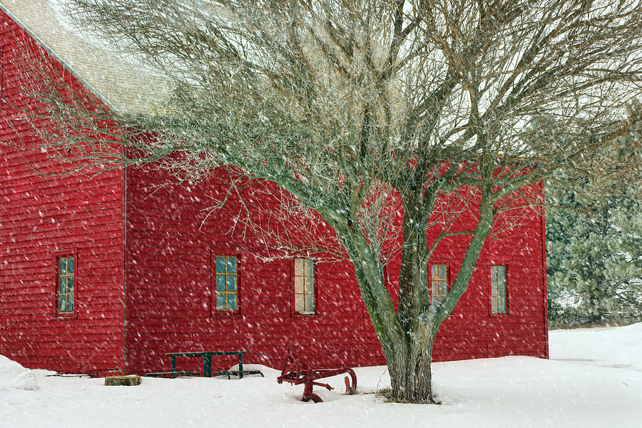Barn Photograph - Little Red in Winter by Nikolyn McDonald