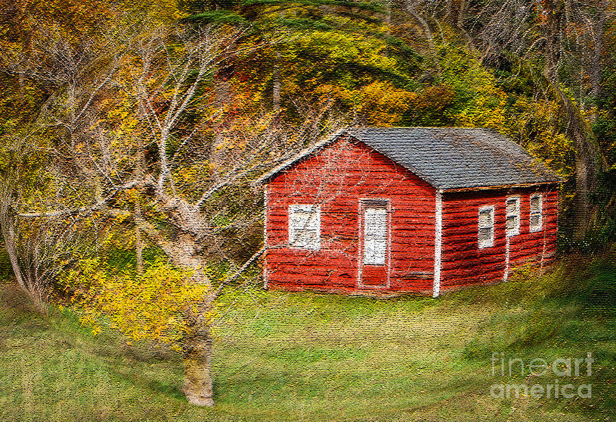 Little Red Log Cabin with Swirl Photograph by Grace Grogan