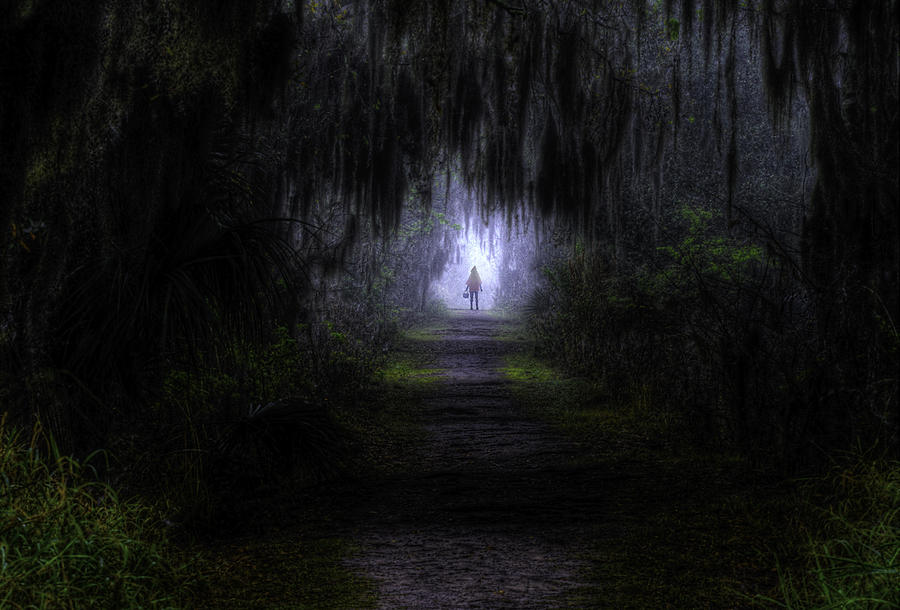 Little Red Riding Hood Dark Passage Photograph By Jay Droggitis