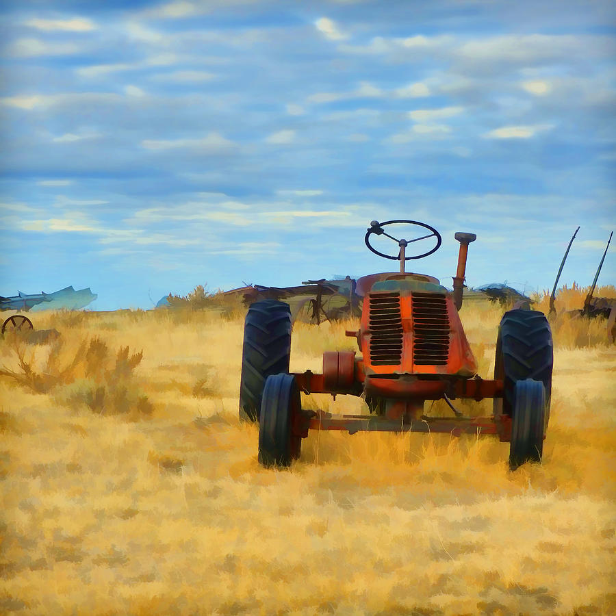 Little Red Tractor 4 Photograph by Cathy Anderson