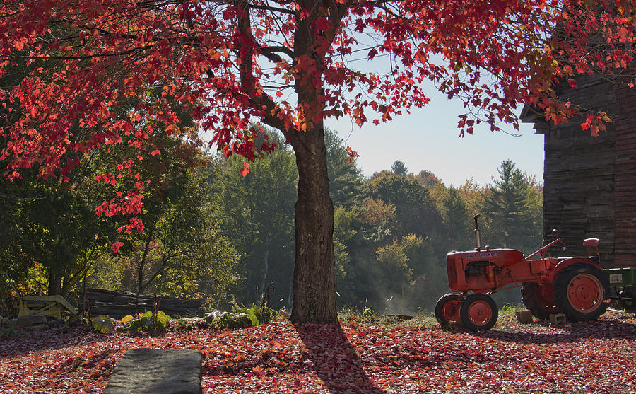 Tractor Photograph - Little Red Tractor by Diana Nault