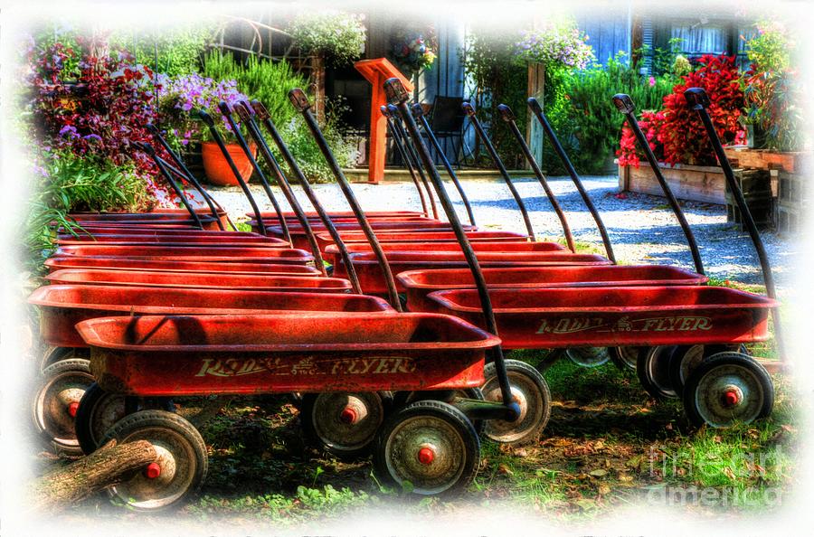 Flower Photograph - Little Red Wagons by Mel Steinhauer
