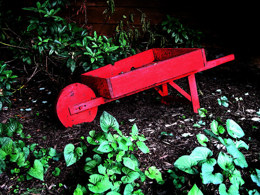 Little Red Wheelbarrow Photograph by Craig Burgwardt