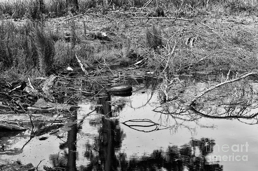 Little River Swamp mono Photograph by John Rizzuto