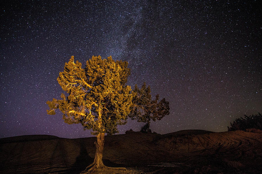 Nature Photograph - Little Sahara by Dean Chytraus