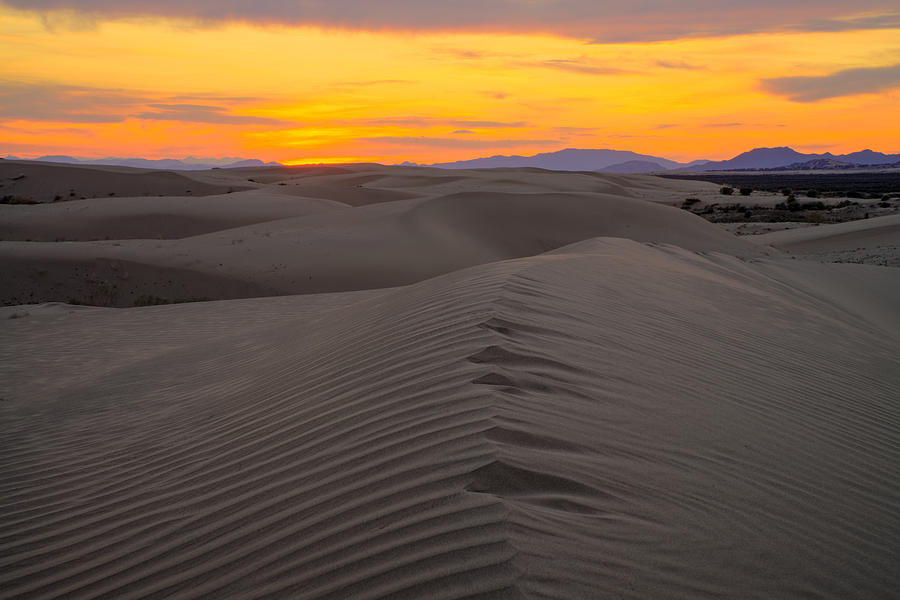 Little Sahara Photograph by Dustin LeFevre