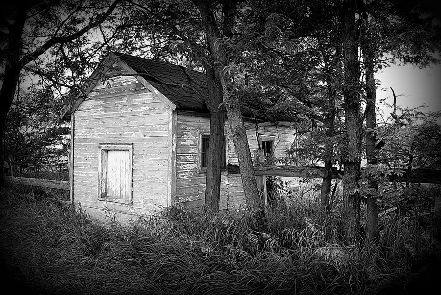 Little Shack in the Woods by Lora Mercado Little Shack in the Woods by Lora Mercado