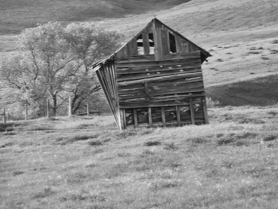 Little Shack on the Prairie BW Photograph by Cathy Anderson
